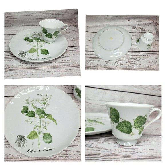 Vintage Hocquart Del Et Sculp Pl 95 Clematite Brulante Tea Cup And Plate Set - Picture 1 of 12